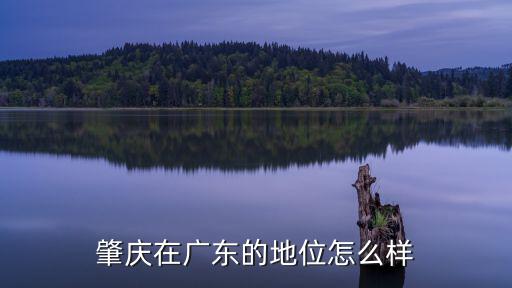 肇慶羅竹村怎么樣,肇慶在廣東的地位怎么樣