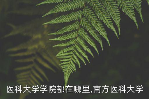 廣東醫科大學學院都在哪里,南方醫科大學