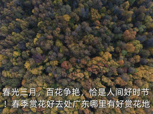 春光三月，百花爭艷，恰是人間好時節(jié)！春季賞花好去處廣東哪里有好賞花地
