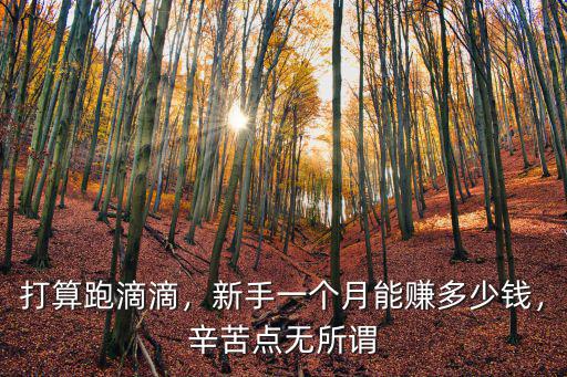 威海跑滴滴一個月能賺多少錢,新手一個月能賺多少錢