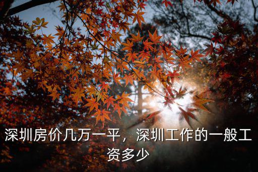 深圳房價幾萬一平，深圳工作的一般工資多少