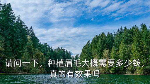 嘉興種植眉毛多少錢先約萊森,種植眉毛大概需要多少錢