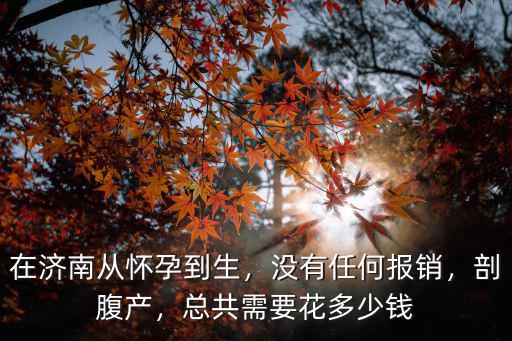 山東濟南生孩子醫保報銷多少錢,總共需要花多少錢