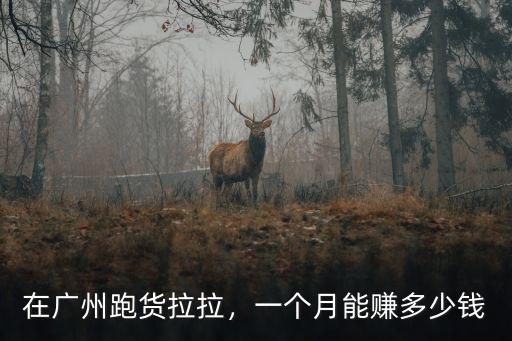 廣州做貨拉拉一天流水多少錢,在廣州做貨拉拉賺錢嗎