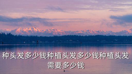 杭州專業植發多少錢,植發大概需要多少錢
