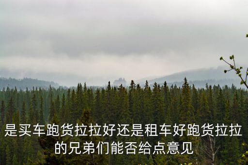 是買車跑貨拉拉好還是租車好跑貨拉拉的兄弟們能否給點意見