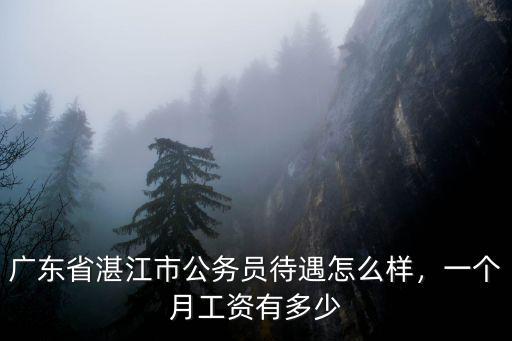 廣東省湛江市公務(wù)員待遇怎么樣，一個月工資有多少