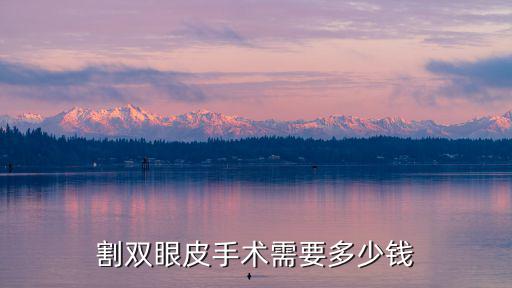 割雙眼皮手術需要多少錢