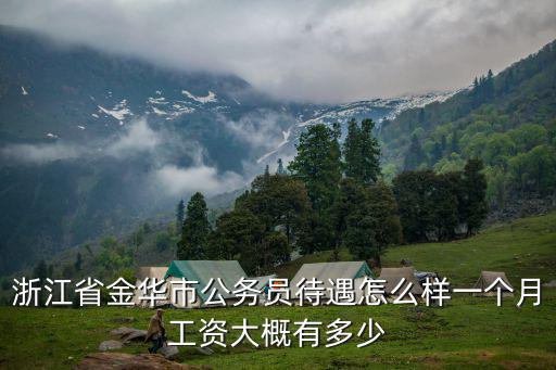 浙江省金華市公務(wù)員待遇怎么樣一個月工資大概有多少