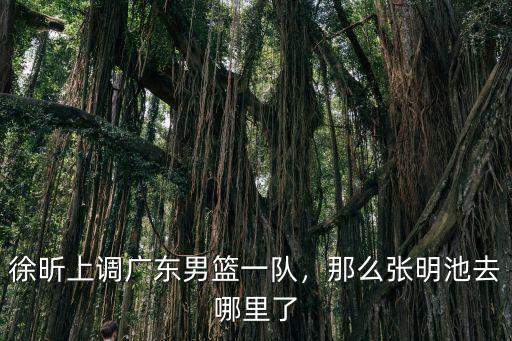 佛山籃球隊哪里去了,廣東宏遠隊的杜潤旺去哪里了