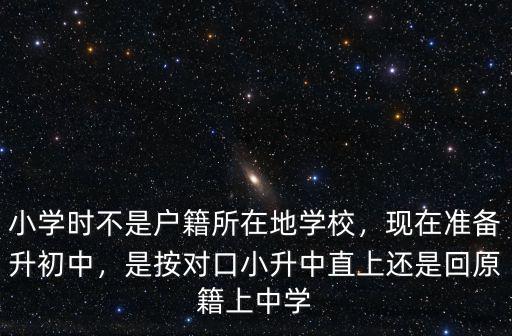 深圳怎么看小學對口的中學呢,深圳小學排名