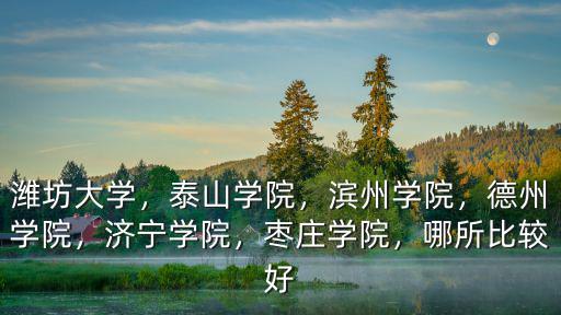 濰坊學院和棗莊學院學費多少,山東省的棗莊學院