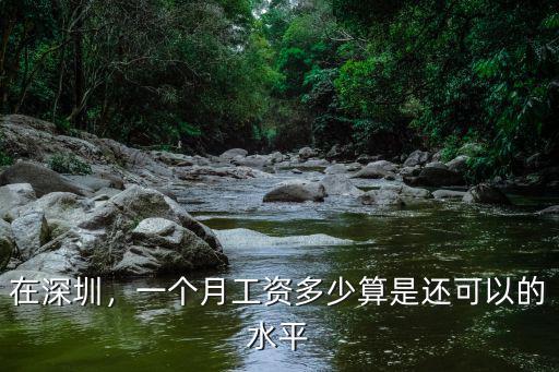 在深圳，一個月工資多少算是還可以的水平
