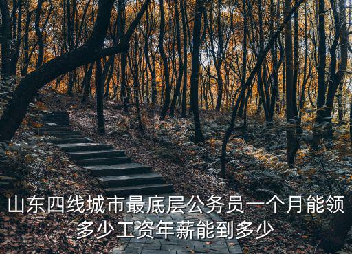 山東國稅局一個月多少工資待遇,一個月工資大概多少錢