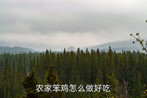 廣東的農家雞湯怎么做的,農家笨雞怎么做好吃