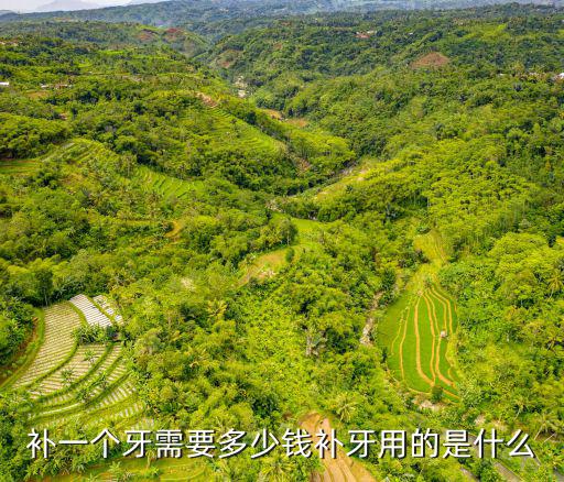 補一個牙需要多少錢補牙用的是什么