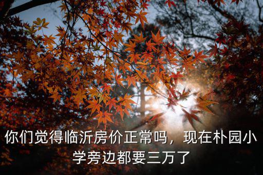 你們覺得臨沂房價(jià)正常嗎，現(xiàn)在樸園小學(xué)旁邊都要三萬了