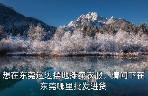 東莞東城大德匯在哪里,請問下在東莞哪里批發進貨