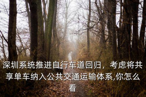 深圳系統(tǒng)推進(jìn)自行車道回歸，考慮將共享單車納入公共交通運(yùn)輸體系,你怎么看