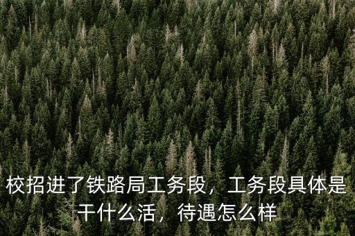 校招進了鐵路局工務段，工務段具體是干什么活，待遇怎么樣