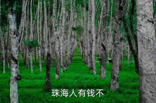 珠海有錢人一般去哪里玩,有錢人平時都去哪玩