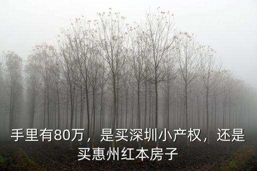手里有80萬，是買深圳小產(chǎn)權(quán)，還是買惠州紅本房子