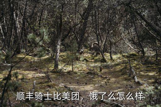 順豐騎士比美團，餓了么怎么樣