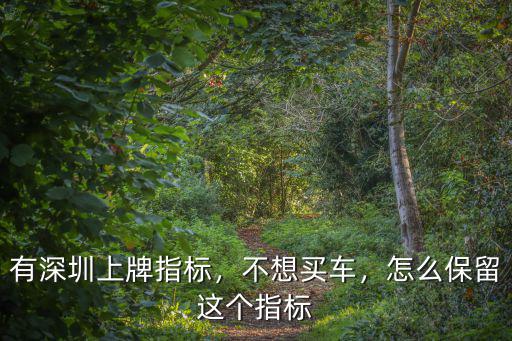 深圳車牌指標可以保留多少時間,有深圳上牌指標
