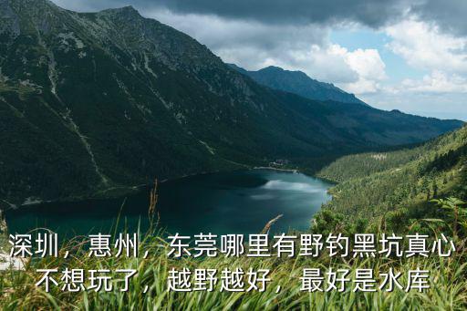 深圳，惠州，東莞哪里有野釣黑坑真心不想玩了，越野越好，最好是水庫