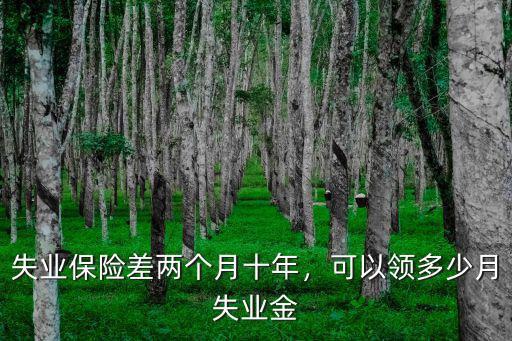 寧波失業金一年可以領多少,可以領多少月失業金