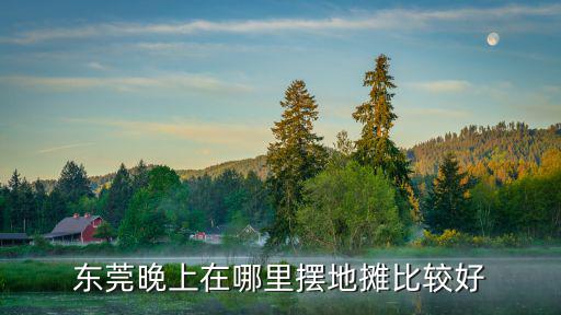 東莞晚上在哪里擺地?cái)偙容^好