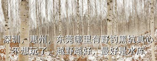 東莞釣魚水庫哪里最好,東莞有哪些可以釣魚的地方