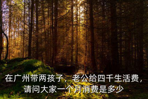 在廣州養(yǎng)個孩子一個月多少錢呢,在廣州帶兩孩子