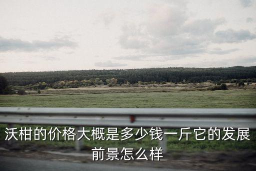 廣東沃柑一畝多少錢,現在沃柑價格多少
