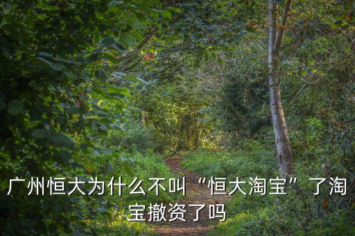 廣州恒大為什么不叫“恒大淘寶”了淘寶撤資了嗎