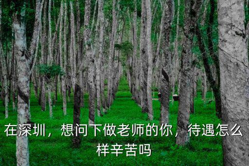 深圳旅游待遇怎么樣,深圳的旅游業(yè)怎么樣