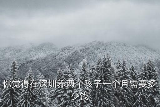 在深圳養二胎怎么樣,在深圳沒有錢養小孩怎么辦
