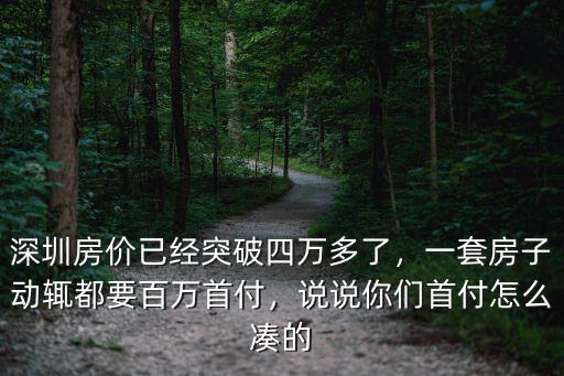 深圳房價已經突破四萬多了，一套房子動輒都要百萬首付，說說你們首付怎么湊的
