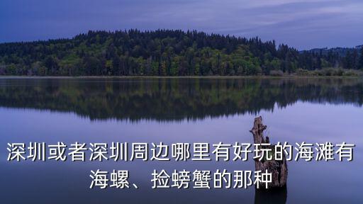 深圳最大的海在哪里啊,深圳哪里的海最有人氣