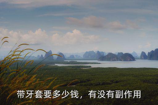 汕頭市醫院牙套基本多少錢,帶牙套最低多少錢