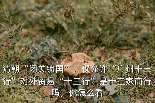 清朝“閉關(guān)鎖國”，僅允許“廣州十三行”對外貿(mào)易“十三行”是十三家商行嗎，你怎么看