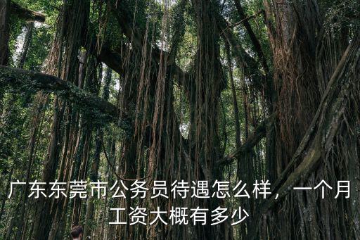 廣東一個月工資大概多少,廣東東莞市公務員待遇怎么樣