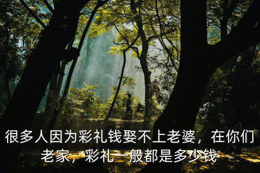 浙江仙居的彩禮錢一般都是多少,中國各地彩禮錢一般是多少錢