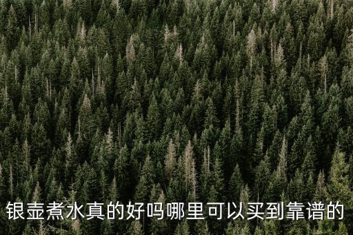 深圳哪里能買到好的銀壺,哪里可以買到靠譜的