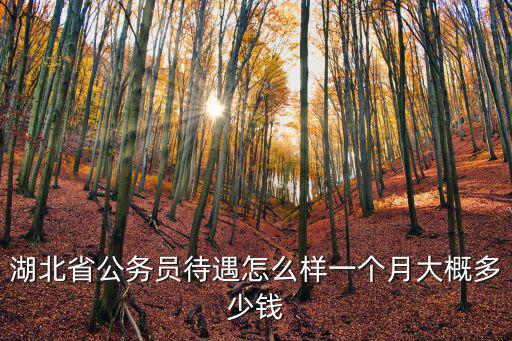 惠州公務員一個月多少錢一個月,一個月大概多少錢