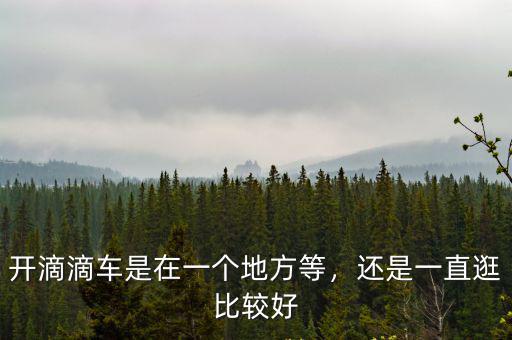 上海和深圳哪里跑滴滴好,在深圳開的士好還是滴滴好
