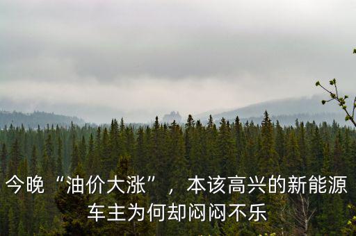 今晚“油價(jià)大漲”，本該高興的新能源車主為何卻悶悶不樂(lè)