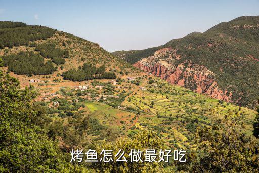烤魚(yú)怎么做最好吃