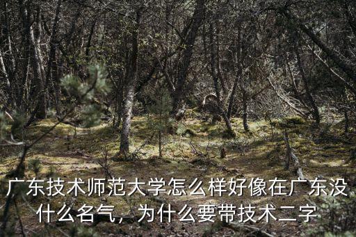 廣東技術師范大學怎么樣好像在廣東沒什么名氣，為什么要帶技術二字