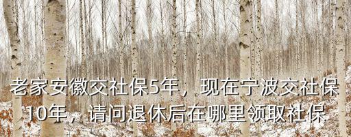 寧波醫保交多少年退休年齡,現在寧波交社保10年